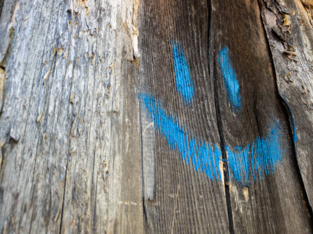 istock Smile paint. Smiling blue paint on old boards. 1154406926