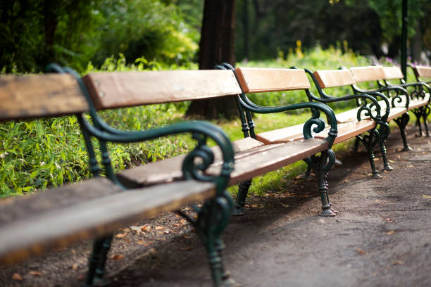 istock Park benches at the Rathauspark in Vienna 1154407122