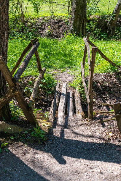 istock small hand made wooden bridge 1154407263