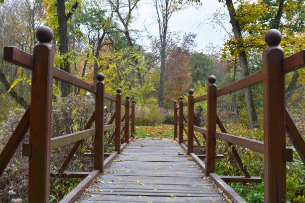 istock Wooden bridge in the park 1154407522