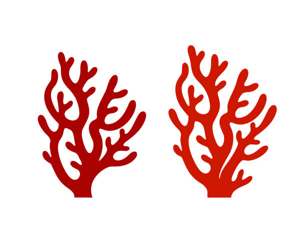コーラルロゴ。白い背景に孤立したサンゴ - 刺胞動物 サンゴ点のイラスト素材／クリップアート素材／マンガ素材／アイコン素材