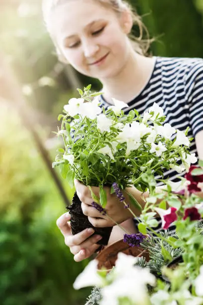 Teenage girl holding a flower pot with  flowers for planting in the garden