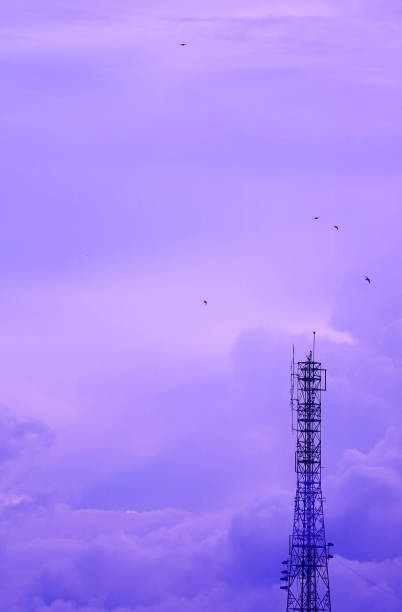 torre colorida roxa pastel da telecomunicação de encontro ao céu nebuloso - large group of animals audio - fotografias e filmes do acervo