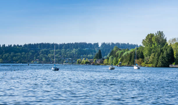 istock Park Shoreline And Boats 5 1154413184