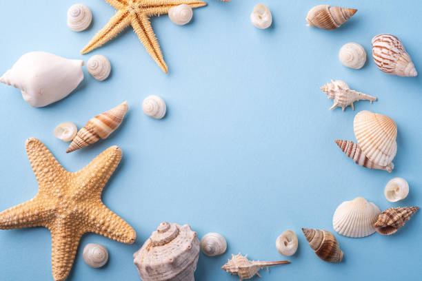 istock Summer texture copy space starfish seashell top view blue background 1154413917