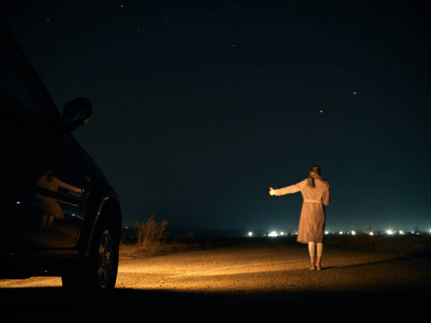 Night drive in search of the unknown.