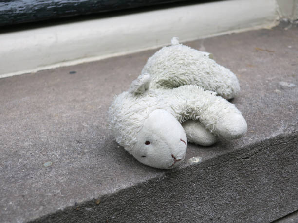 istock lost sheep, cuddly toy or stuffed animal laying on a freestone windowsill 1154425086