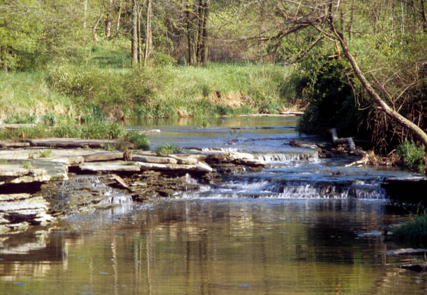 Photo of A small trickling stream with rocky banks