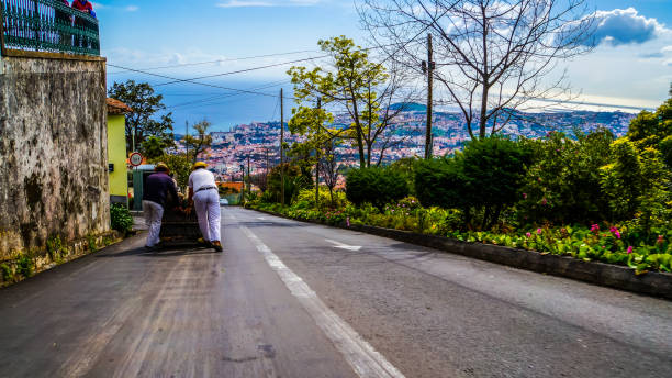Monte, Madeira, March 18, 2017, Fun tradition of racing in a basket sled driven by two carreiros down the street from monte to funchal on the asphalt road with view to funchal stock photo