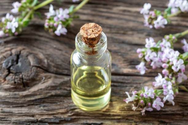 istock A bottle of thyme essential oil with fresh blooming thyme 1154427973