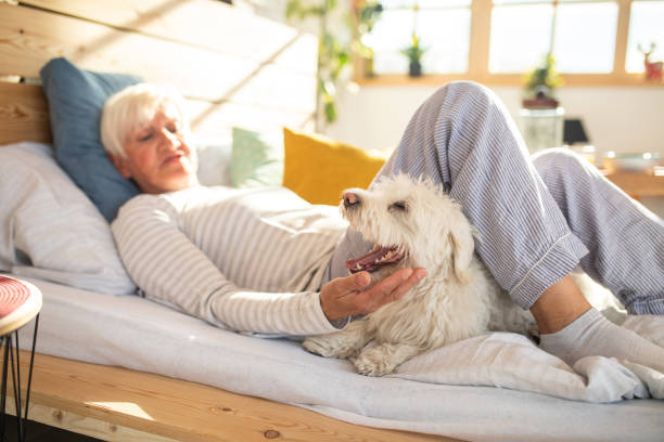 istock Senior woman lying on bed with her pet dog 1154430516