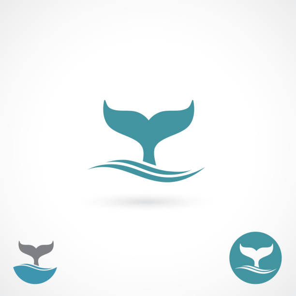 ilustraciones, imágenes clip art, dibujos animados e iconos de stock de ballena cuento-vector ilustración - tail
