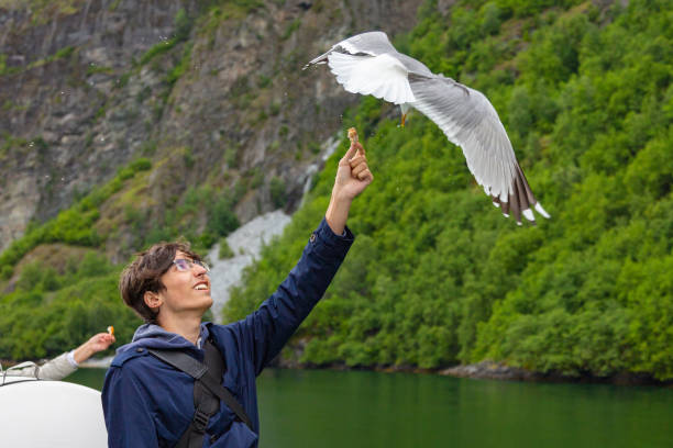istock Journey through the Norwegian fjords 1154432296