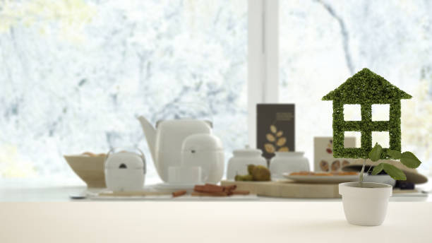 istock White table top or shelf with green plant in pot shaped like house, modern blurred table with breakfast background, interior design, real estate, eco architecture concept idea 1154433096