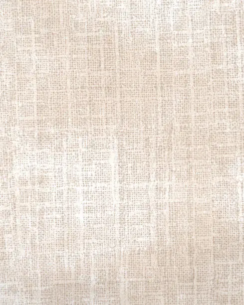 Photo of Starched Cotton Fabric