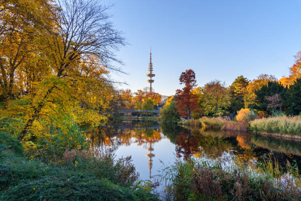 シティパーク planten 国連 blomen は、ハンブルクの秋にあります。ドイツ - german culture audio ストックフォトと画像