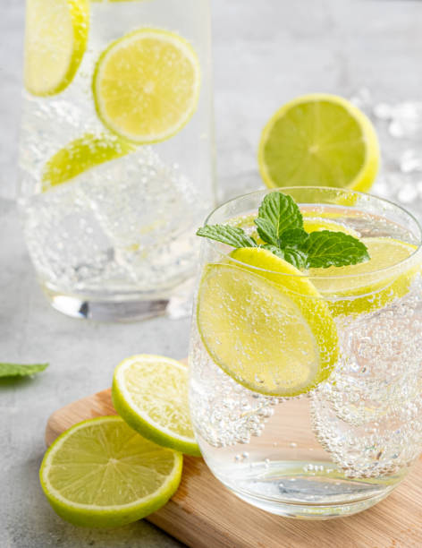 Gin and tonic cocktails with lemon and mint