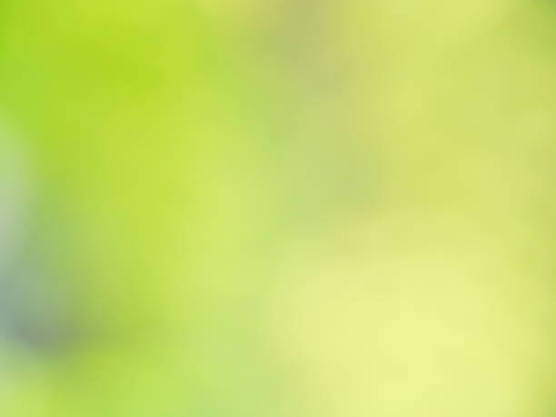 istock Autumn background Beautiful green nature 1154440219