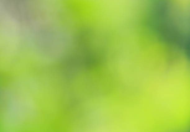 istock Autumn background Beautiful green nature 1154440252
