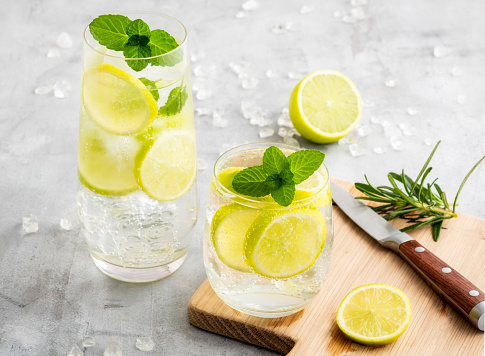 Gin and tonic with lemon and mint and a knife