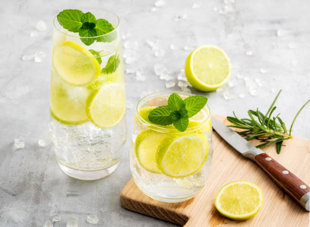 Gin and tonic cocktails with lemon and mint - fotografia de stock