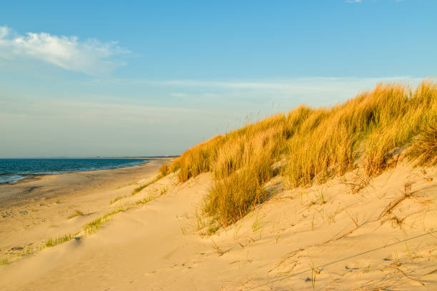 istock Sunset at the Baltic Sea 1154442928