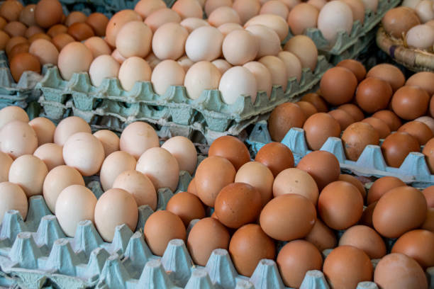 istock Cartons of eggs for sale 1154443072