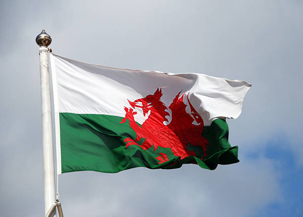bandeira galesa país de gales - welsh flag welsh culture flag green - fotografias e filmes do acervo
