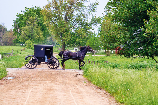 Amish Buggy at Crossroads on rural Indiana gravel roads.