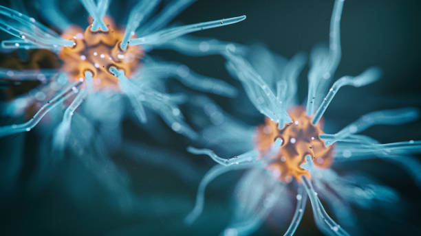뉴런 세포 - neuroscience nerve cell nerve fiber dendrite 뉴스 사진 이미지