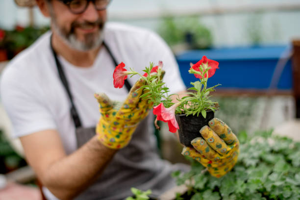 istock Proud on my small business 1154453132