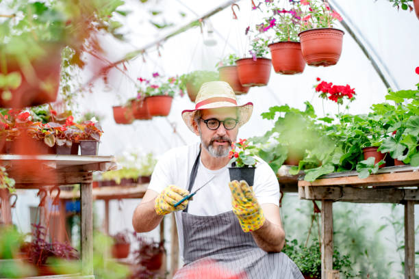 istock Taking care of the flowers 1154453249