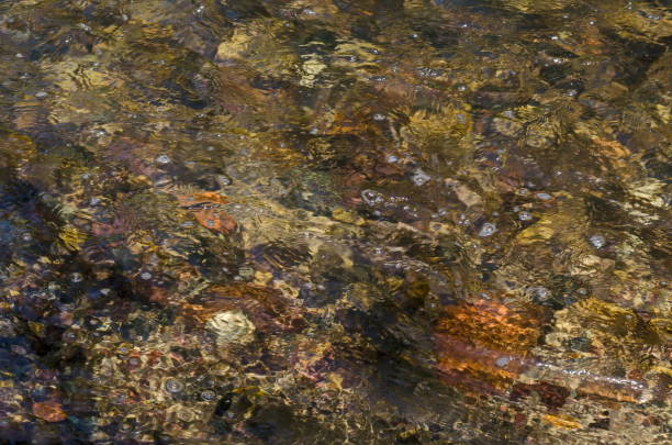 istock Interesting natural background of water with reflection at river Iskar, Lozen mountain 1154453340