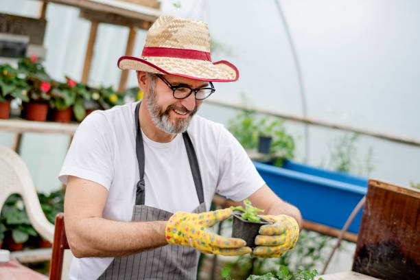 istock Mature gardener planting flowers. 1154453474