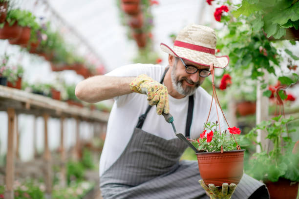 istock Taking care of the flowers 1154454566