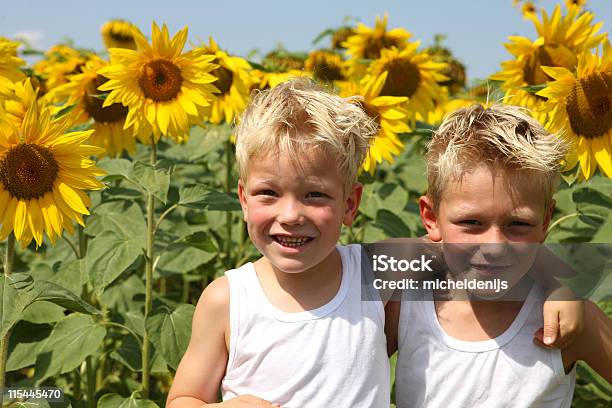 Jungen Im Sonnenblumen Feld Stockfoto und mehr Bilder von Jungen - Jungen, Zwilling, Lachen