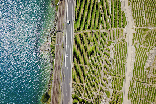 Vineyards by the lake - Aerial, Lavaux, Switzerland
