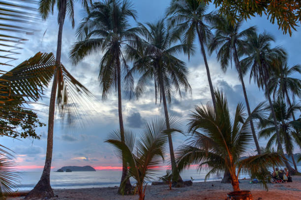 istock Sunset by the beach with palm trees in Costa Rica 1154460013