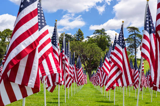 istock American flags on a green grass 1154460082