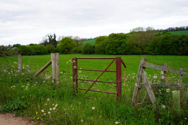 istock Metal gate barrier in the countryside 1154461333