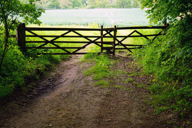 istock Wooden gate in the countryside 1154461478