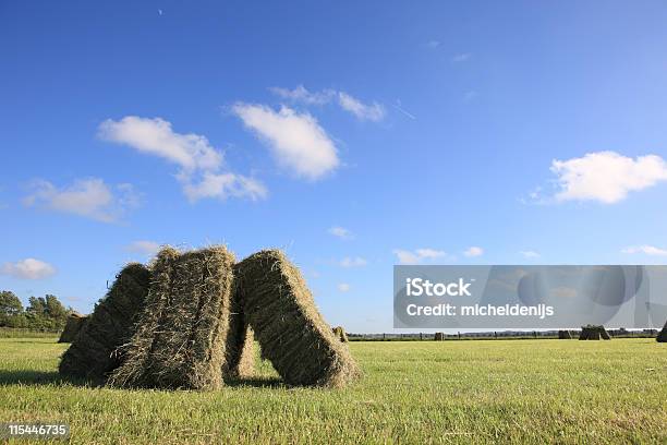 Ci Sono Balle - Fotografie stock e altre immagini di Agricoltura - Agricoltura, Ambientazione esterna, Ambientazione tranquilla