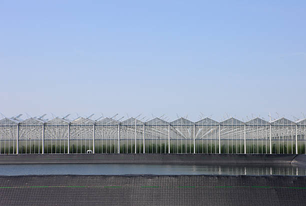 Greenhouse With Water Reservoir stock photo