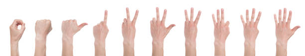 istock Male hands counting from zero to five isolated on white background. Set of multiple images. Collage 1154474666