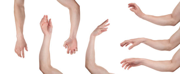 palma masculina relajada aislada sobre fondo blanco. múltiples imágenes. collage - reaching human hand handshake support fotografías e imágenes de stock