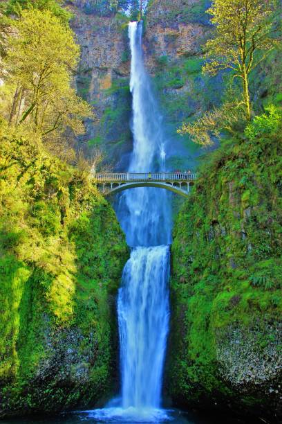istock Portland Oregon’s Multnomah Falls Scenic Photos 1154475864