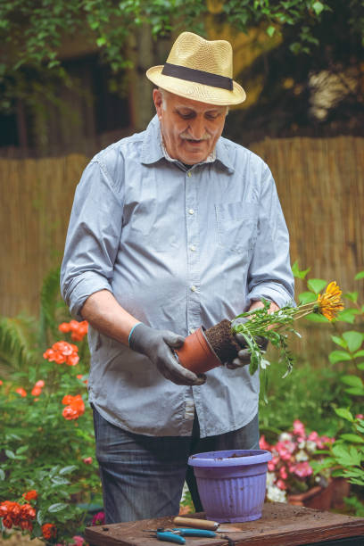 istock Transplant plant into a larger pot 1154476839