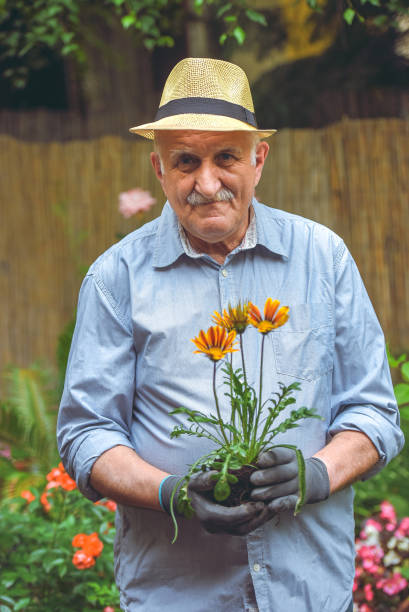 istock Transplant plant into a larger pot 1154476874