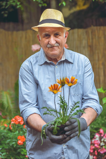 istock Transplant plant into a larger pot 1154476903