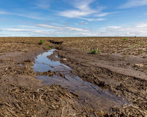 forti piogge e inondazioni nel midwest hanno eroso il suolo in un campo agricolo - storm wheat storm cloud rain foto e immagini stock